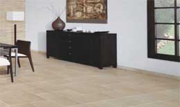 2009���ǌ�(du��)�Ї�(gu��)ÿһ��(g��)��I(y��)�ġ�ȫ���w�z��